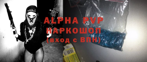 прущие грибы Пестово