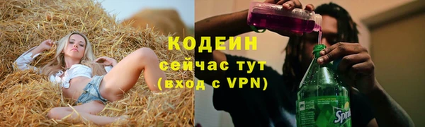 ешки Пересвет