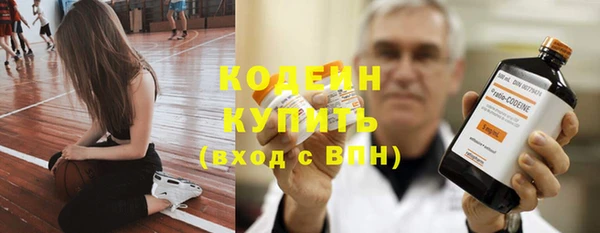 ешки Пересвет