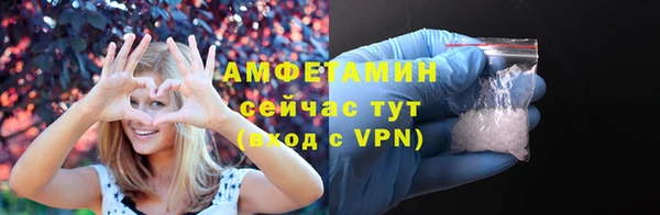 ешки Пересвет