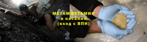 прущие грибы Пестово