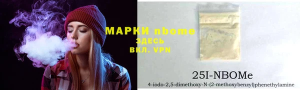 прущие грибы Пестово