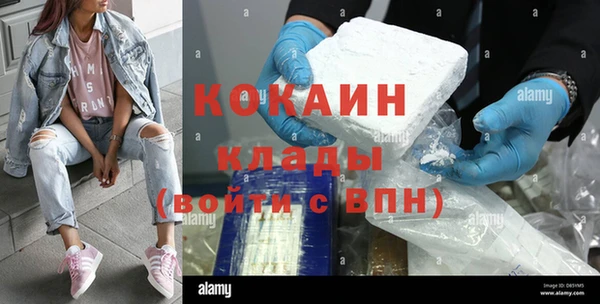 ешки Пересвет