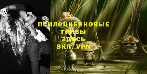 ешки Пересвет