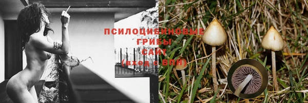 сатива Остров