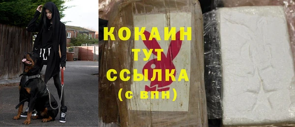 прущие грибы Пестово