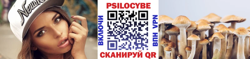 Галлюциногенные грибы MAGIC MUSHROOMS  наркошоп  Ветлуга 